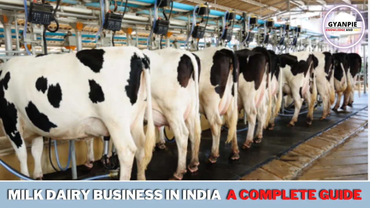 milk business plan in hindi